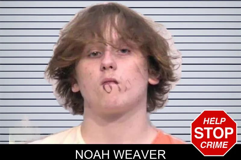 Noah Weaver mugshot