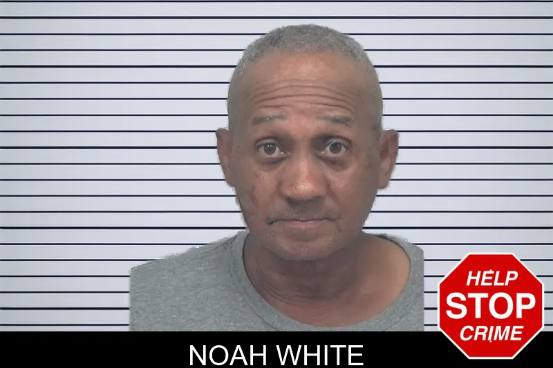 Noah White mugshot