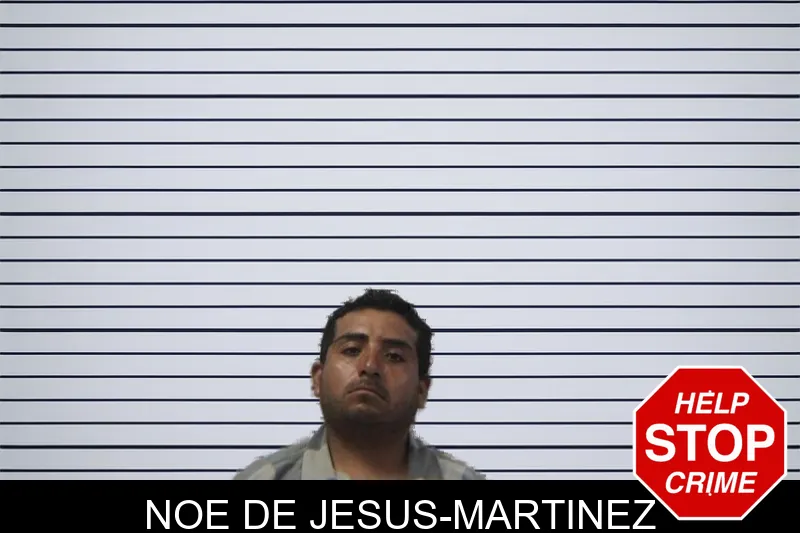 Noe De Jesus-Martinez mugshot
