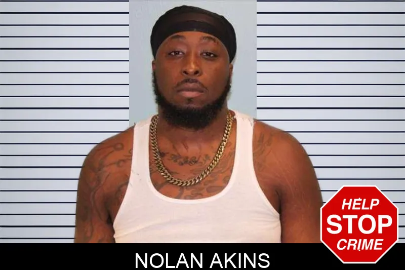 Nolan Akins mugshot