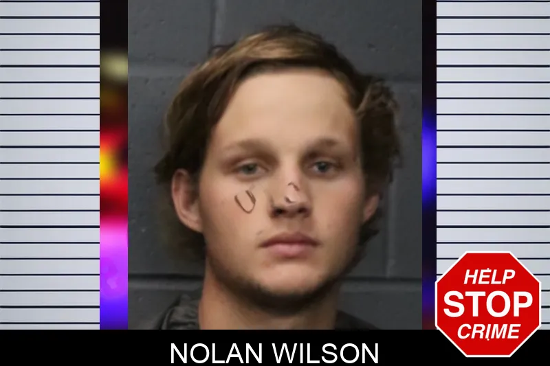 Nolan Wilson mugshot