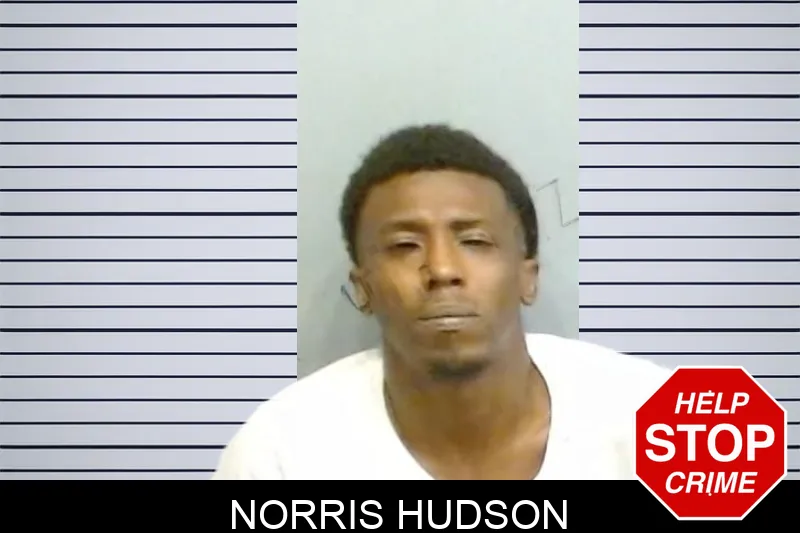 Norris Hudson mugshot