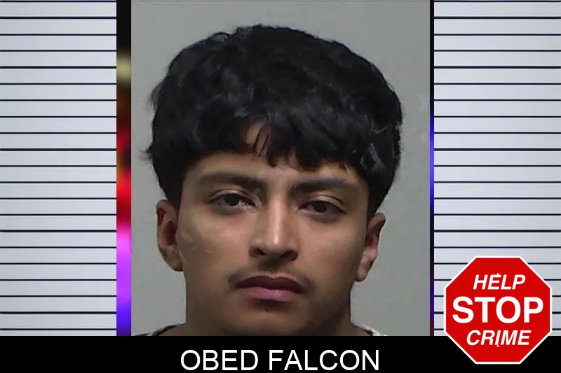 Obed Falcon mugshot