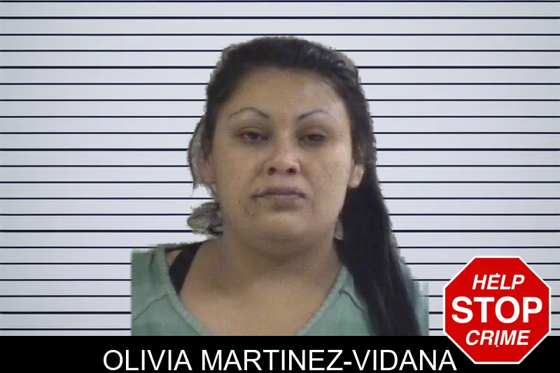 Olivia Martinez-Vidana mugshot