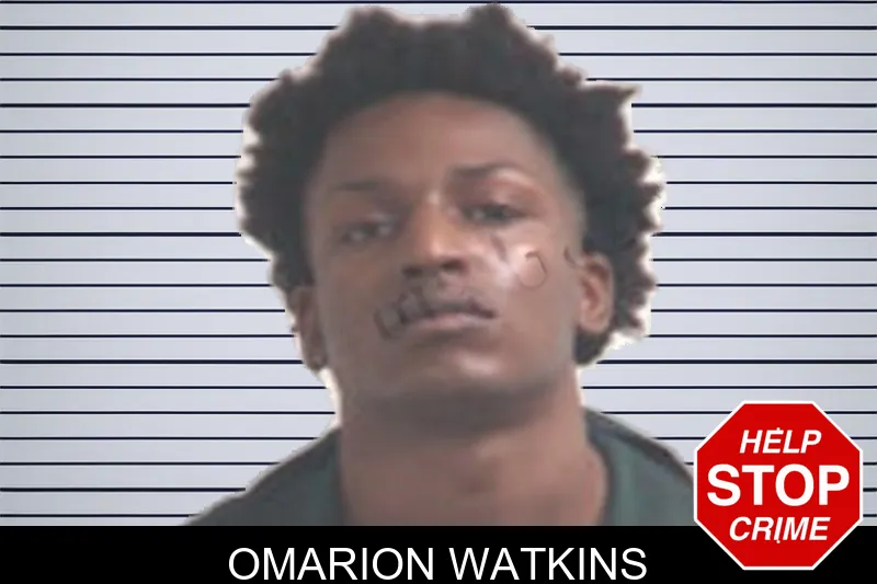 Omarion Watkins mugshot