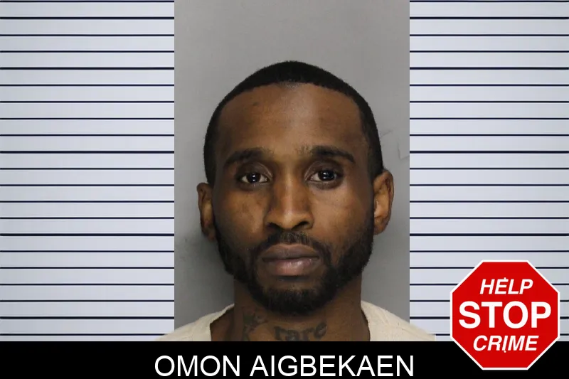 Omon Aigbekaen mugshot
