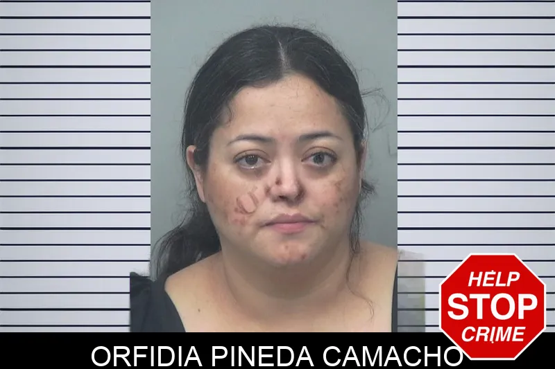 Orfidia Pineda Camacho mugshot