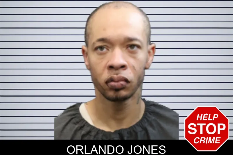 Orlando Jones mugshot