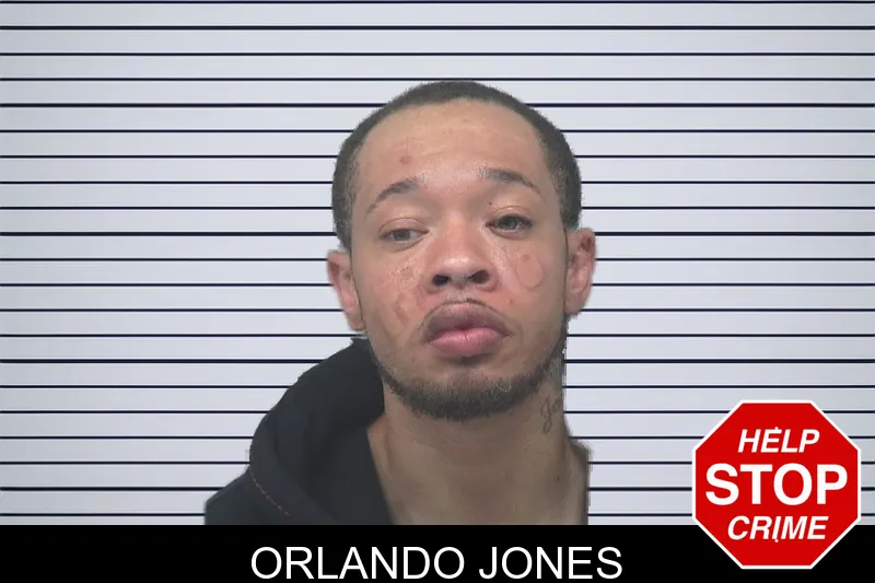 Orlando Jones mugshot