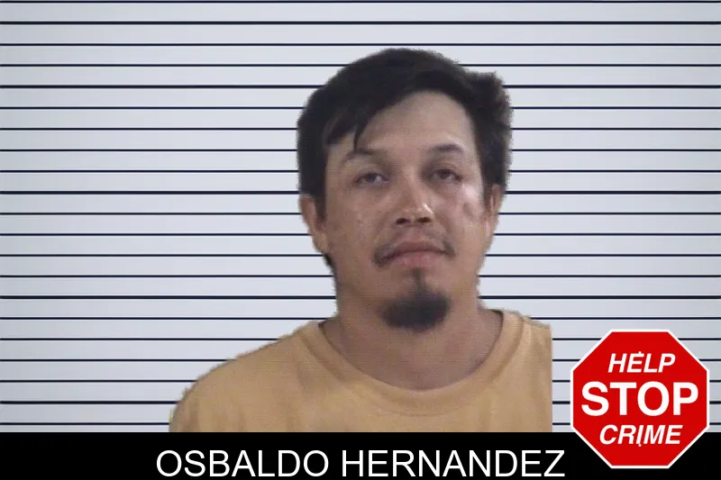 Osbaldo Hernandez mugshot