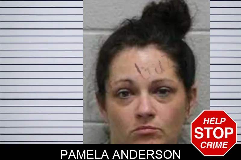 Pamela Anderson mugshot