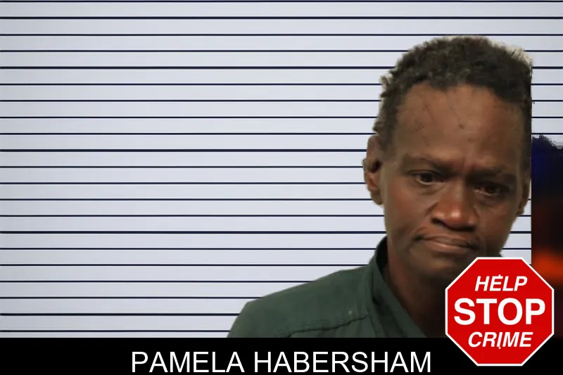 Pamela Habersham mugshot