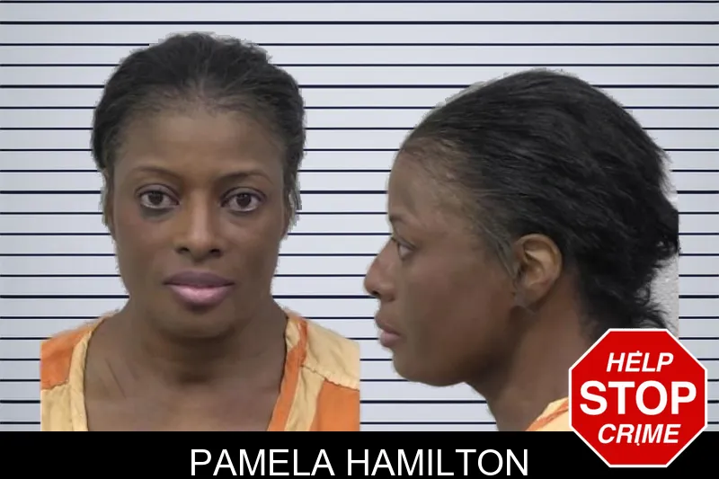 Pamela Hamilton mugshot