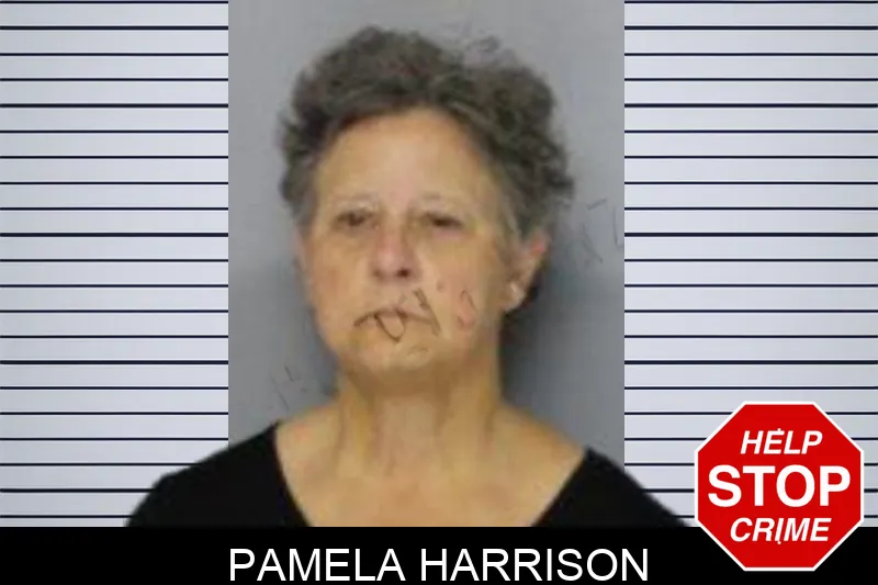 Pamela Harrison mugshot