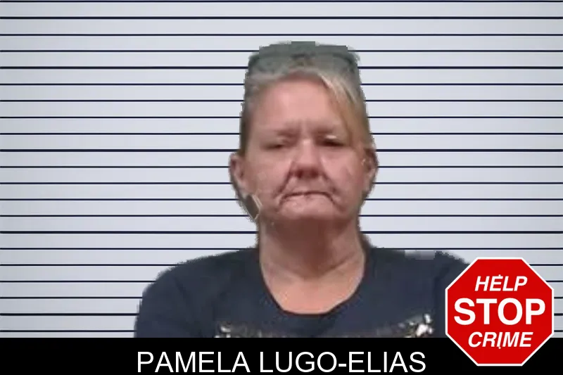 Pamela Lugo-Elias mugshot