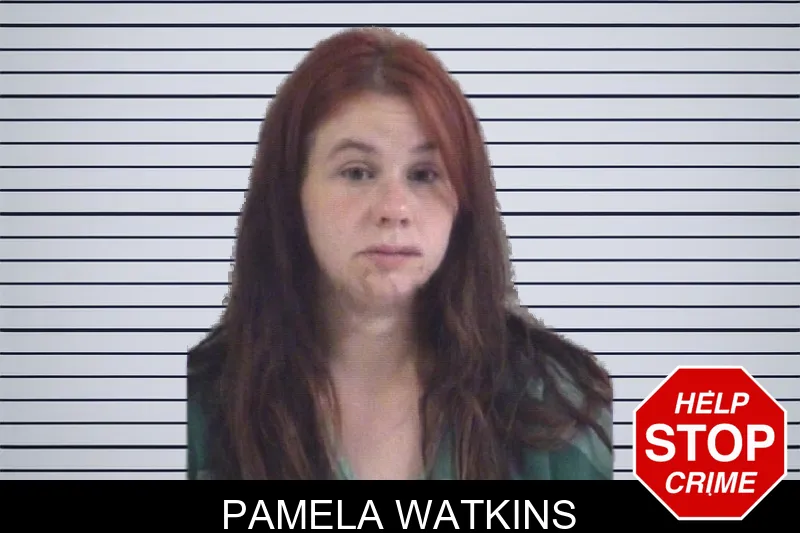 Pamela Watkins mugshot