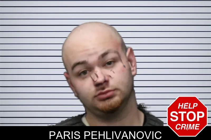 Paris Pehlivanovic mugshot