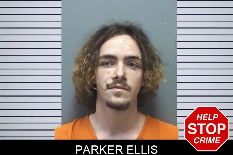 Parker Ellis mugshot