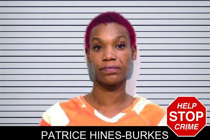 Patrice Hines-Burkes mugshot