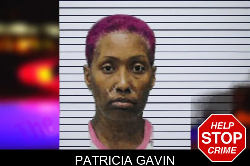 Patricia Gavin mugshot