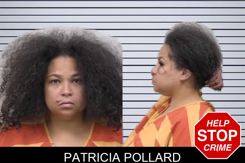 Patricia Pollard mugshot