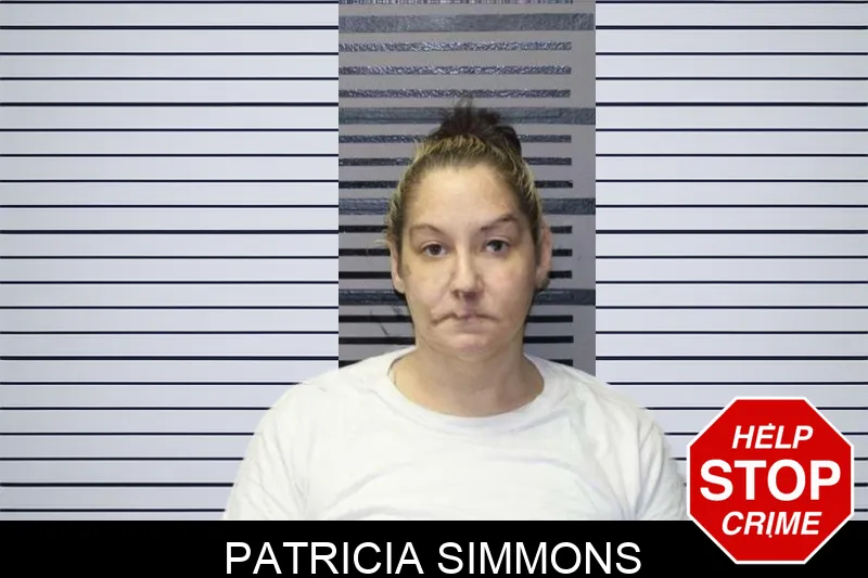 Patricia Simmons mugshot