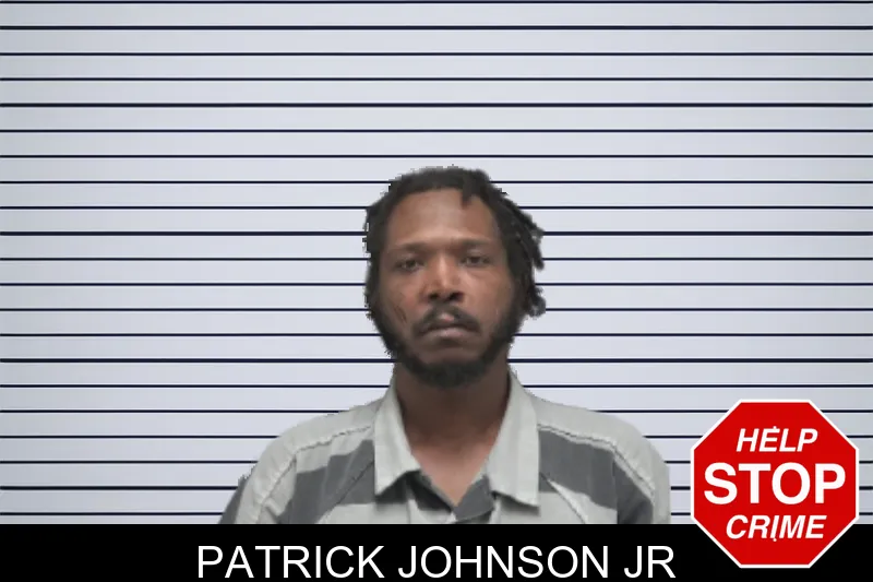 Patrick Johnson Jr mugshot
