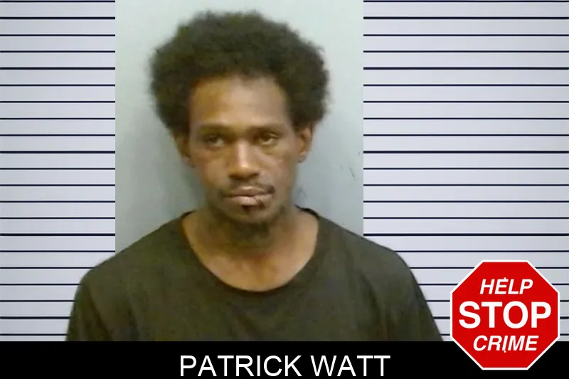 Patrick Watt mugshot