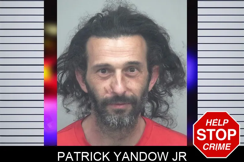 Patrick Yandow Jr mugshot
