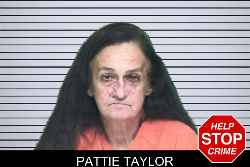 Pattie Taylor mugshot