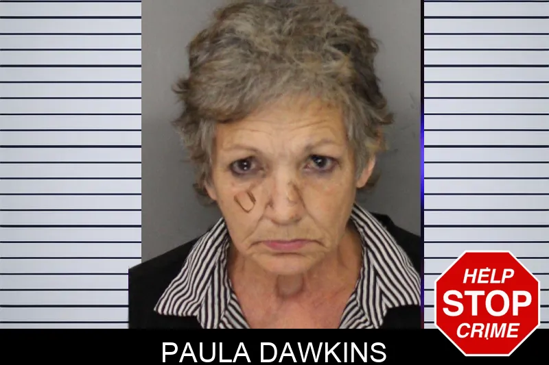 Paula Dawkins mugshot