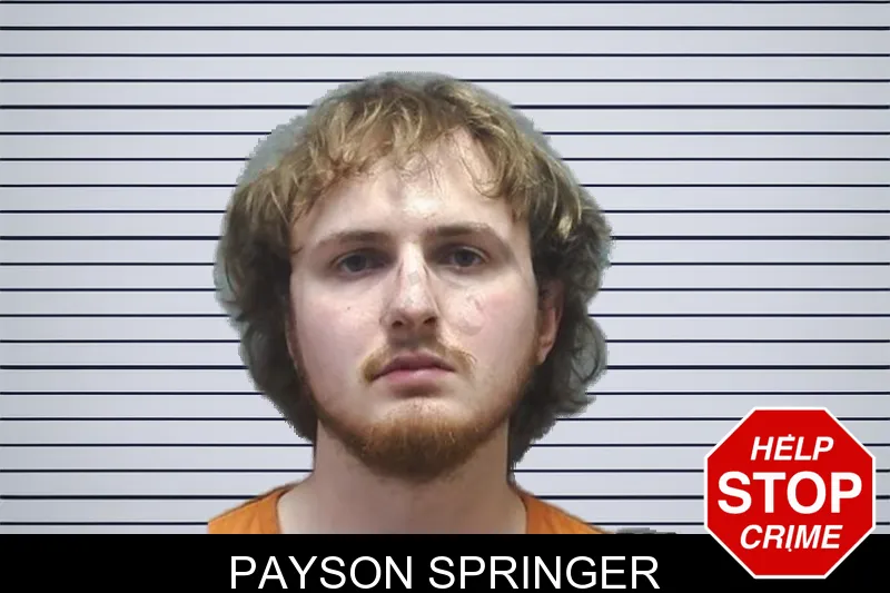 Payson Springer mugshot