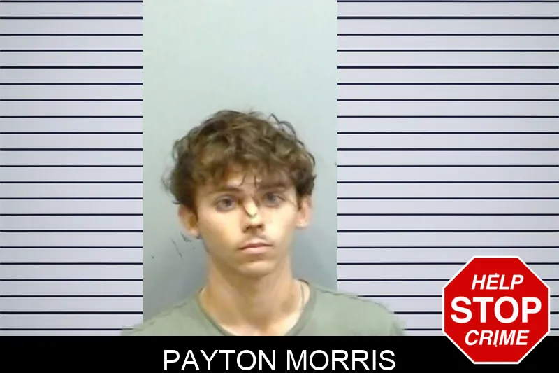 Payton Morris mugshot