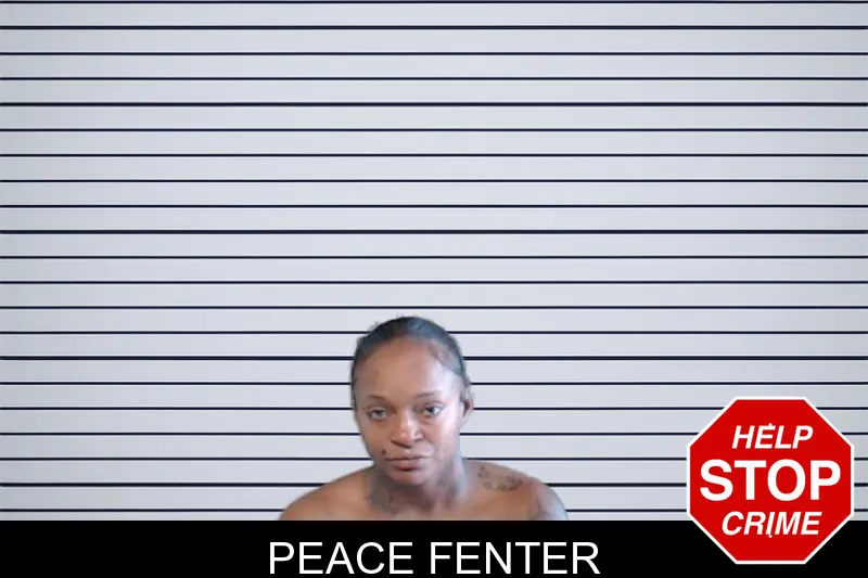 Peace Fenter mugshot