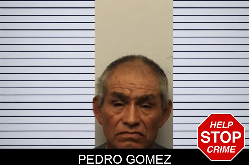 Pedro Gomez mugshot
