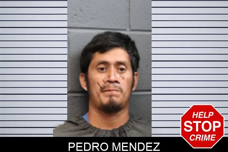 Pedro Mendez mugshot