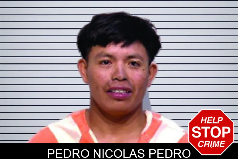 Pedro Nicolas Pedro mugshot