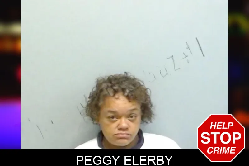 Peggy Elerby mugshot