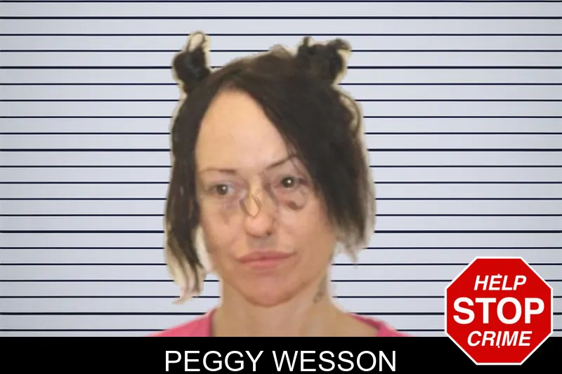 Peggy Wesson mugshot