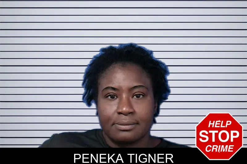 Peneka Tigner mugshot