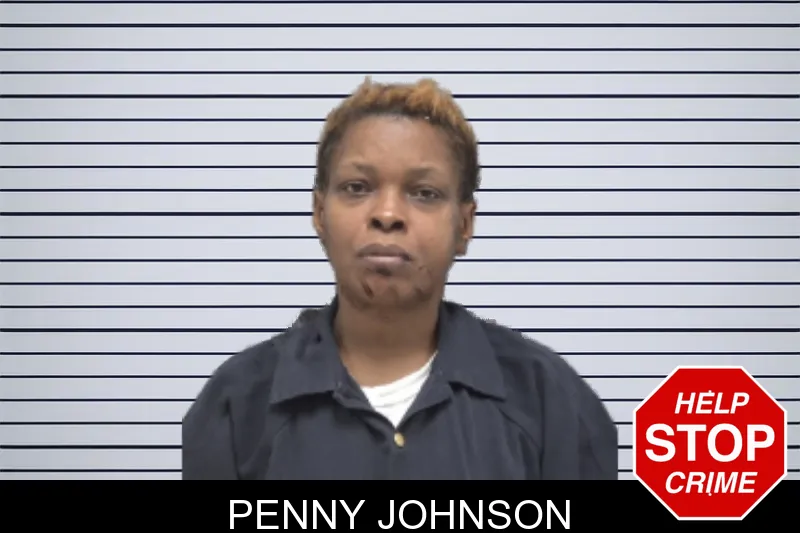 Penny Johnson mugshot