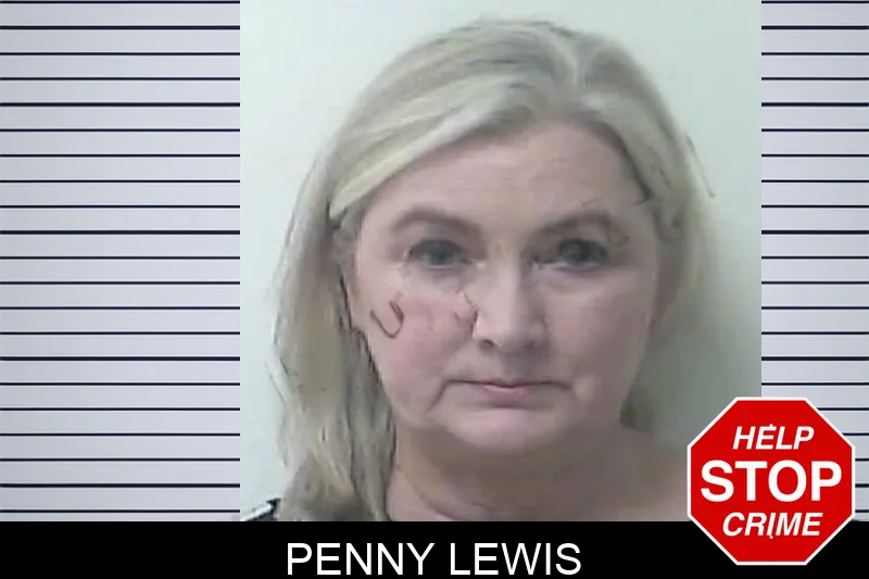 Penny Lewis mugshot