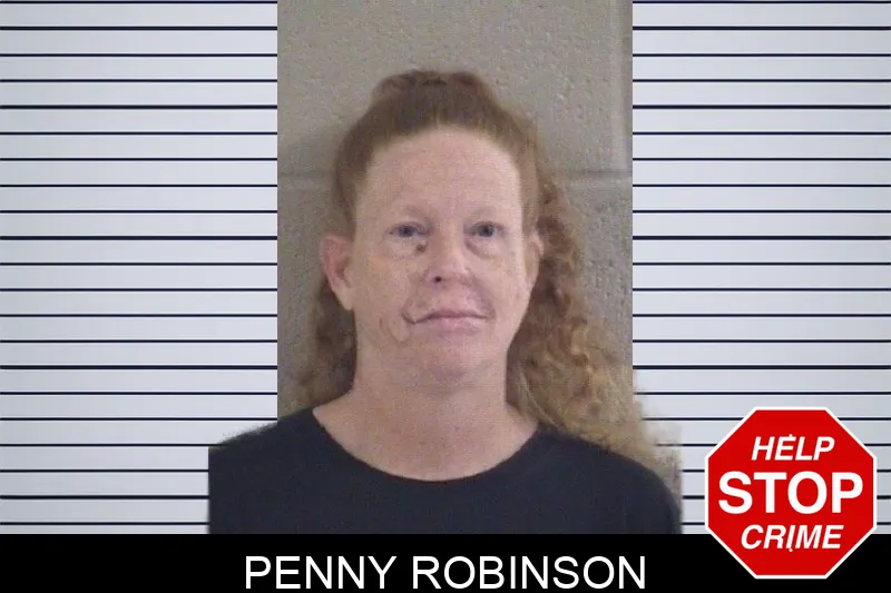 Penny Robinson mugshot