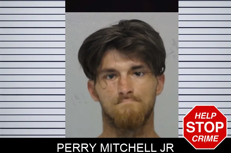 Perry Mitchell Jr mugshot