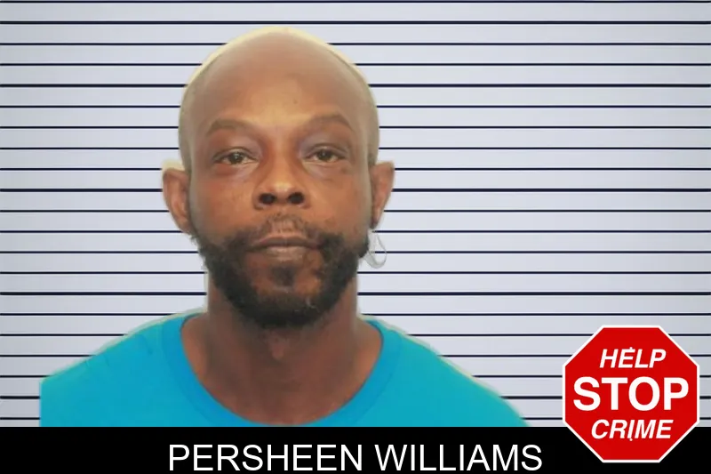 Persheen Williams mugshot