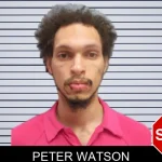 Peter Watson mugshot