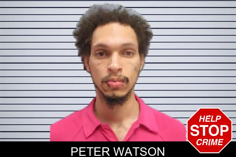 Peter Watson mugshot