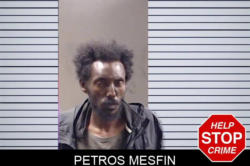 Petros Mesfin mugshot