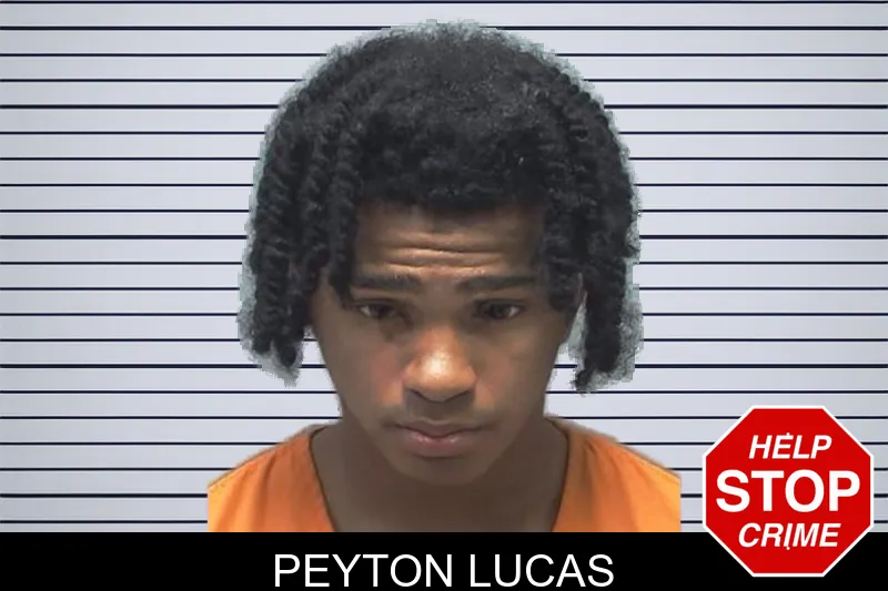 Peyton Lucas mugshot