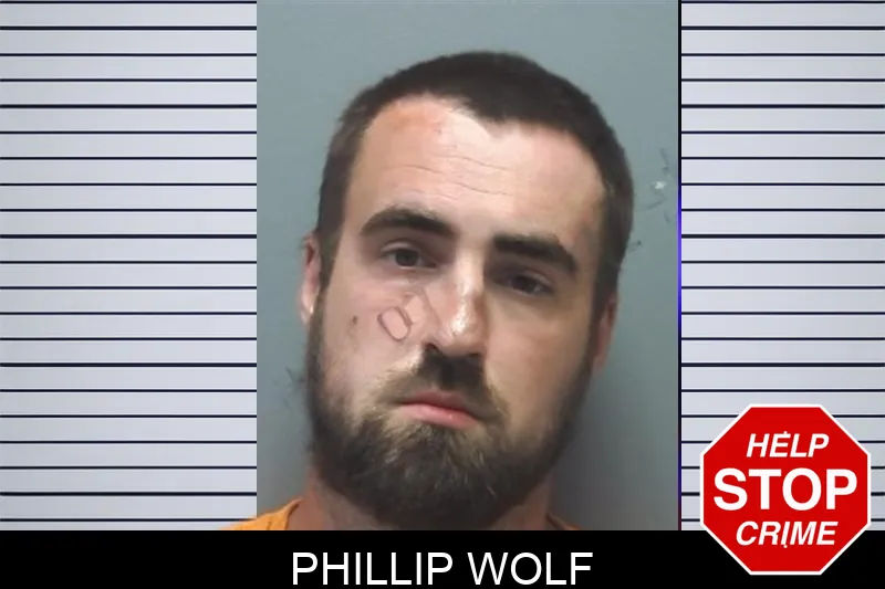Phillip Wolf mugshot